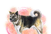 Watercolor Dogs Mega Big Bundle, an Illustration by Dneprstock (Thumbnail 3 of 60)