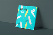 CD Digi Pack Mock-up, a Product Mockup by zippypixelstudio (Thumbnail 10 of 16)