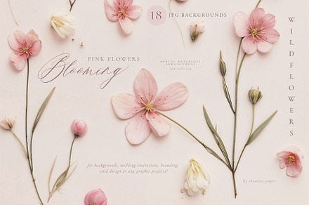 Blush Pink Wildflowers Backgrounds, a Background Graphic by by creative paper