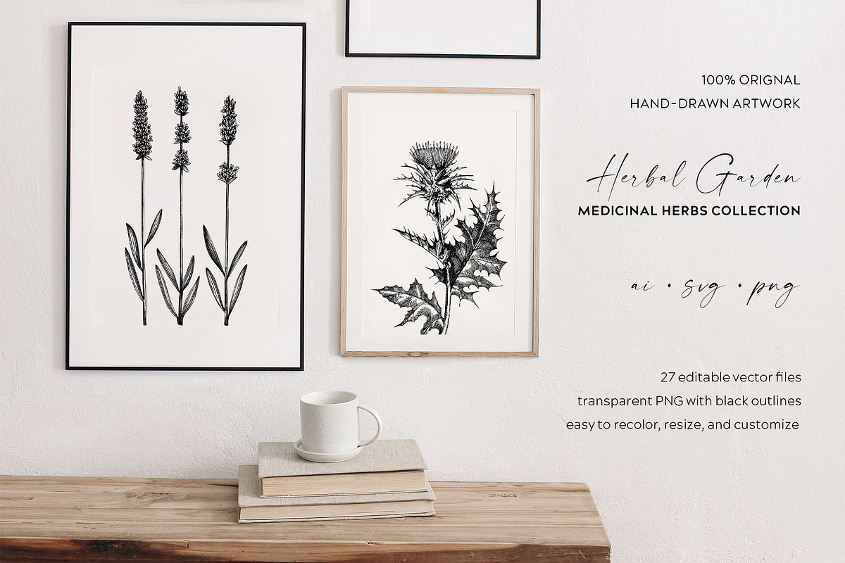 25 Medicinal Herbs Vector Collection, a Healthcare Illustration by Yevheniia (Photo 11 of 11)