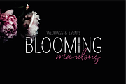 AMALFI - A Modern Font Family, a Sans Serif Font by OkayAnnie Designs (Thumbnail 2 of 12)