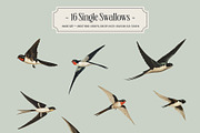 Swallows - vintage illustrations, an Animal Illustration by AI Crafted Magnolia (Thumbnail 3 of 13)