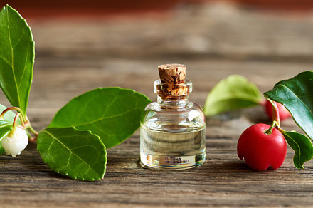 A bottle of wintergreen essential oil with wintergreen twigs, a Food & Drink Photo by Madeleine Steinbach