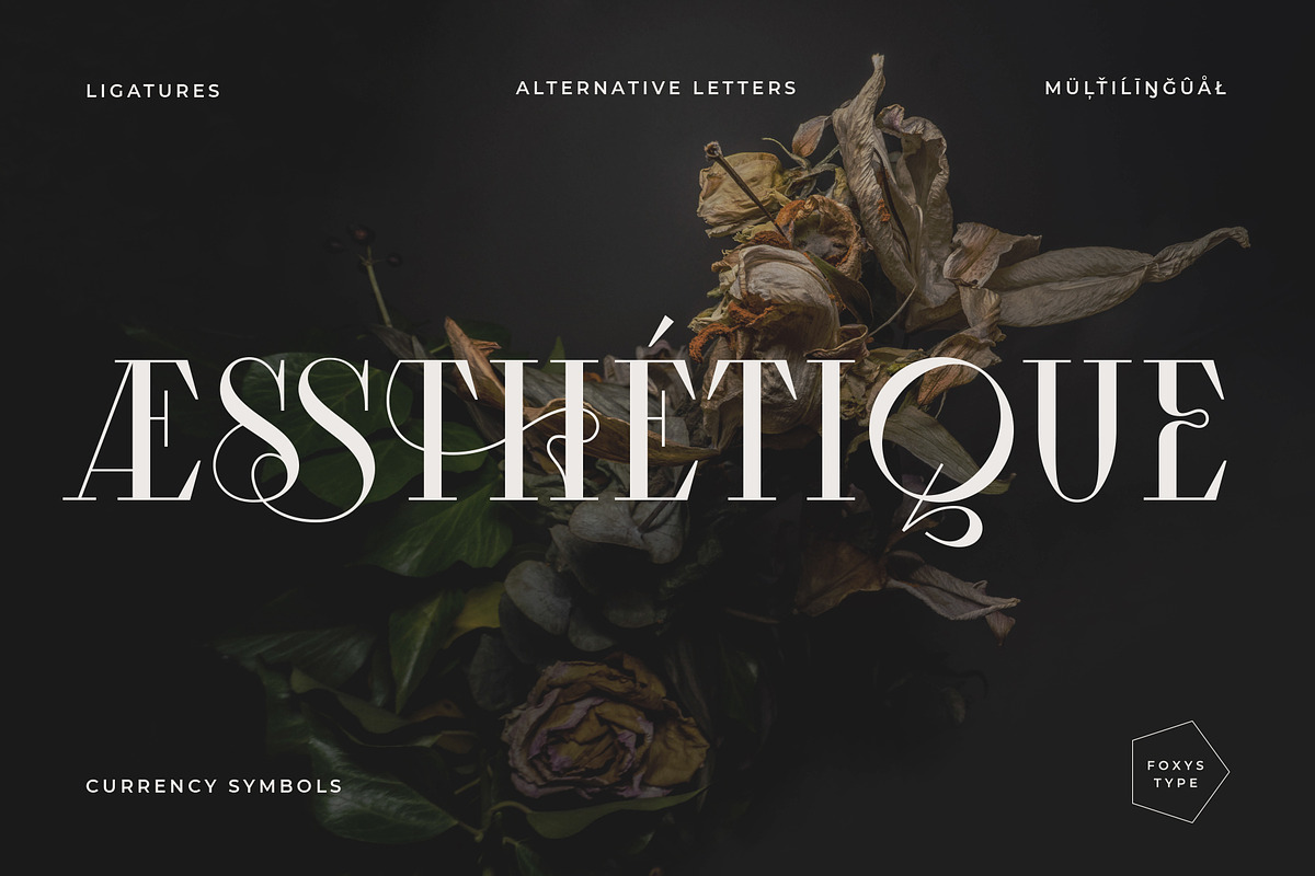Aessthetique, a Serif Font by Foxys Type (Photo 1 of 11)