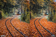 FALL PRESETS for Autumn Photos, a Preset Add-On by AAA Presets (Thumbnail 22 of 22)