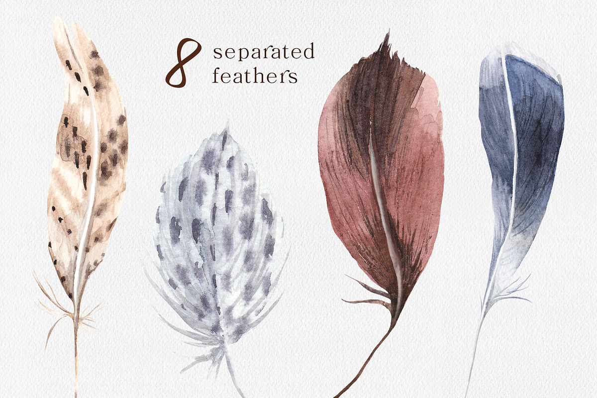 Feathers Watercolor Collection, a Texture Illustration by SOVA (Photo 3 of 7)