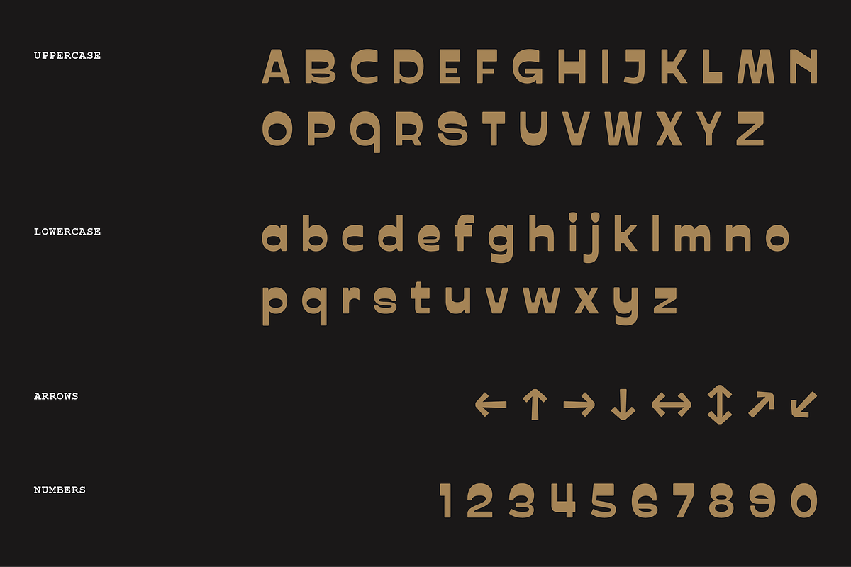PRAK Trotoer - Vintage Display Font, a Sans Serif Font by Healltica.std (Photo 6 of 27)