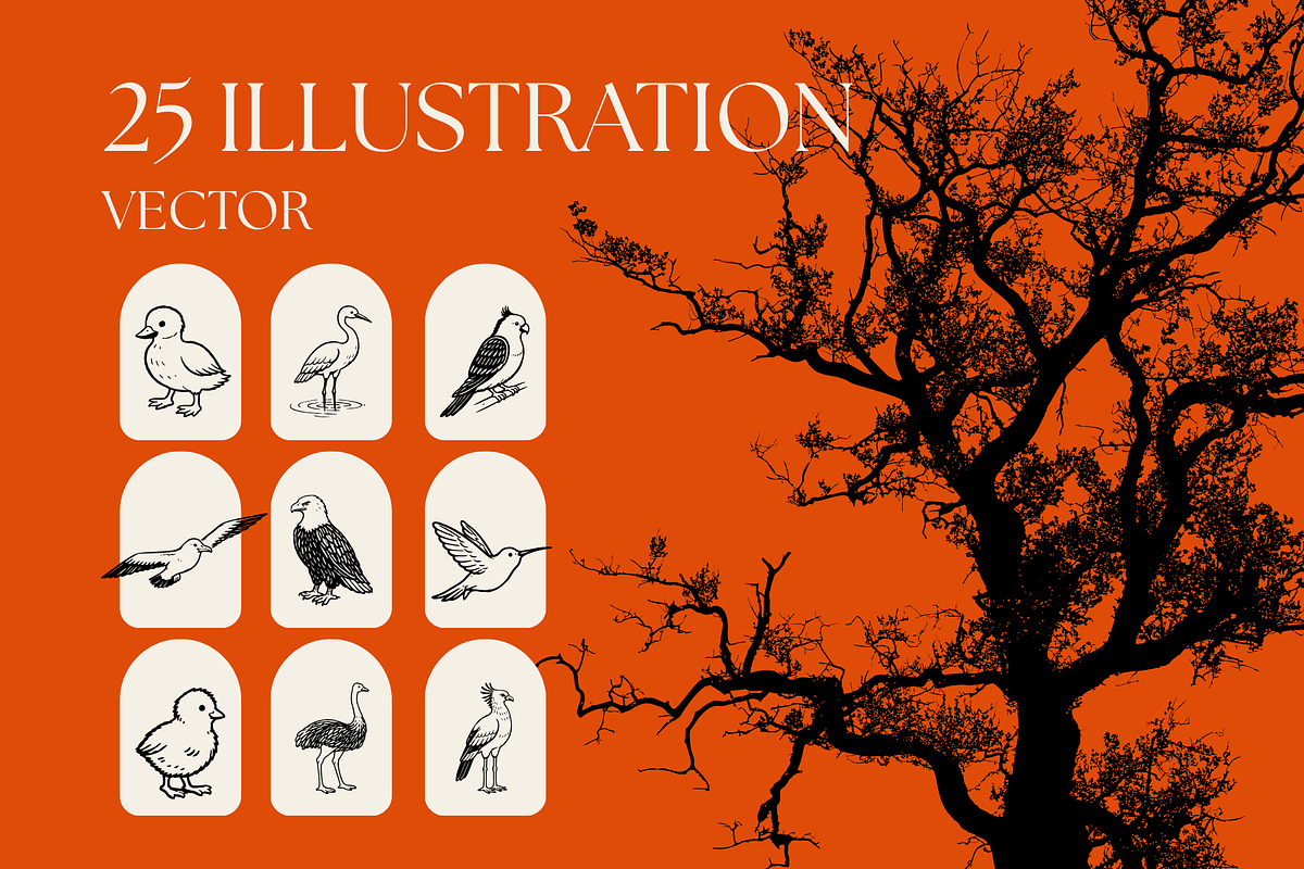 (Avian) Birds Vector Illustrations, an Animal Illustration by Rasgood (Photo 8 of 8)