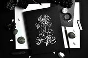 Black&White Flowers - Ink floral set, an Illustration by Graphic Republic (Thumbnail 5 of 5)