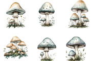 Watercolor Mushroom Clipart, an Illustration by Designking (Thumbnail 4 of 5)