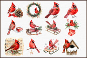 Red Cardinals Christmas Sublimation, an Illustration by Sublimation Artist (Thumbnail 3 of 6)