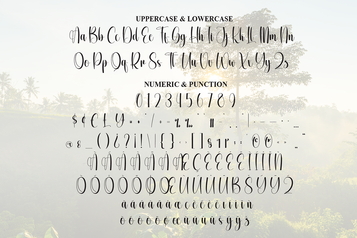 Woodland | Script Font, a Handwritten Font by Scratchones (Photo 8 of 9)