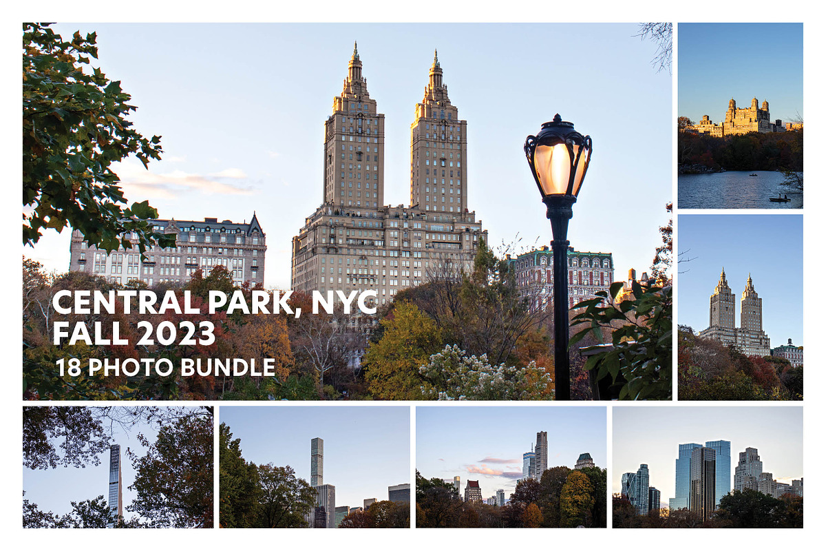 Central Park, NYC, Fall 2023 Photos, a Nature Photo by Full Circle Design Studio (Photo 1 of 4)