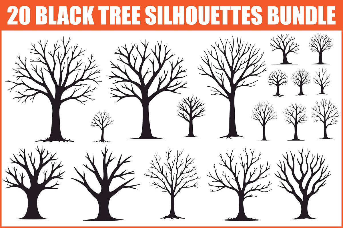 Wild Forest Tree Clipart Set, an Illustration by balal (Photo 1 of 21)