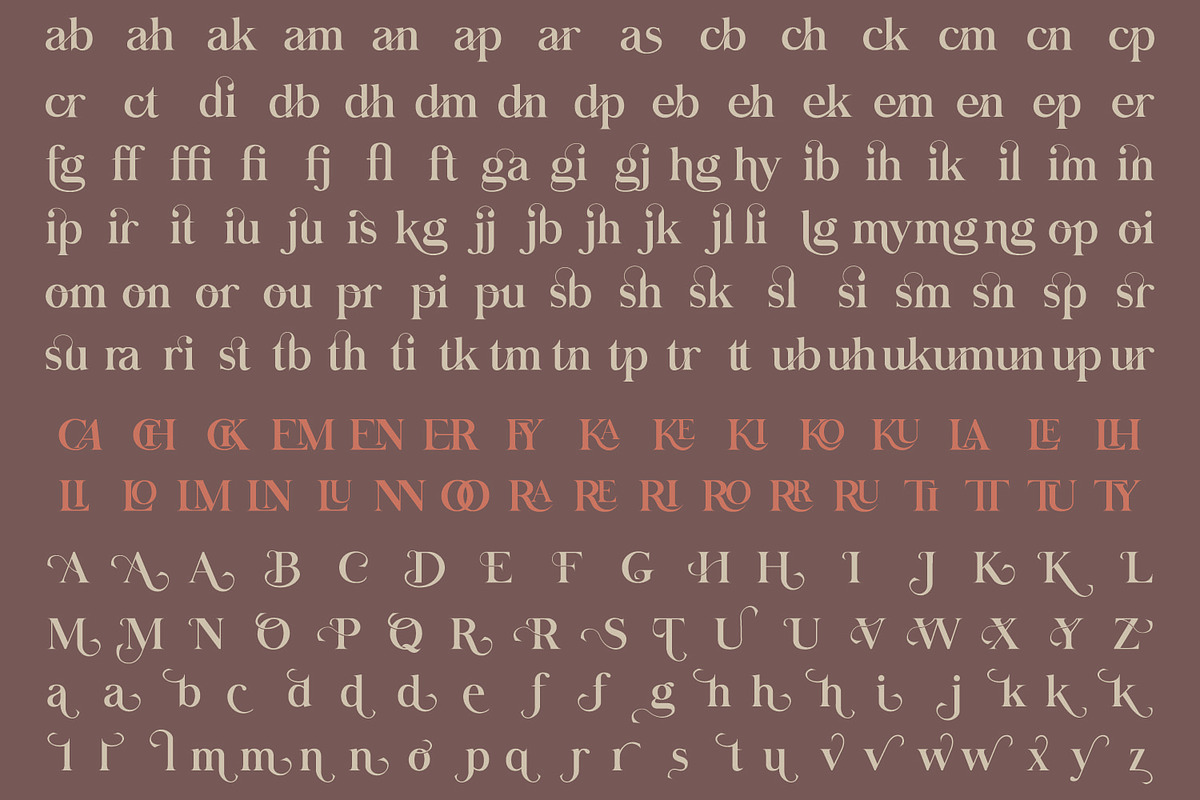 Mikonvis Yonga | Modern Serif Font, a Serif Font by MchCrafter (Photo 15 of 15)