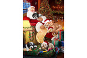 Havanese Dog With Xmas Santa Art, an Animal Illustration by Art Paradise Studios (Thumbnail 1 of 3)