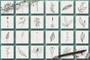 HAND DRAWN FLORAL COLLECTION Vol.3, an Illustration by CARROTDESIGN (Thumbnail 4 of 4)