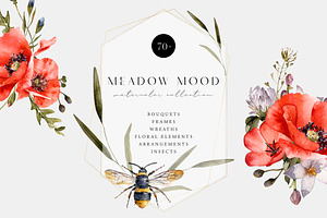 Meadow Mood. Wildflower Collection