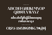 Ragita Elegant Ligature Serif Font, a Serif Font by Perfectype (Thumbnail 7 of 8)