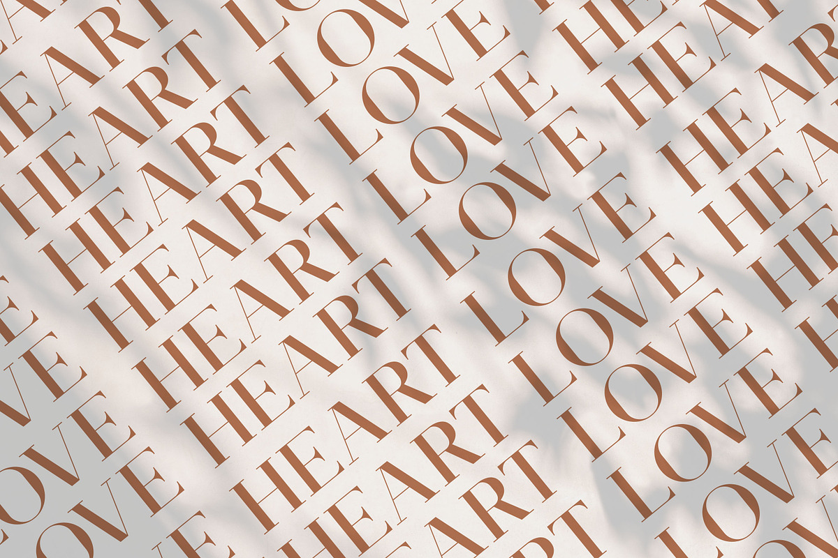 Stinker - Modern Serif Family, a Serif Font by Mokatype Studio (Photo 11 of 11)