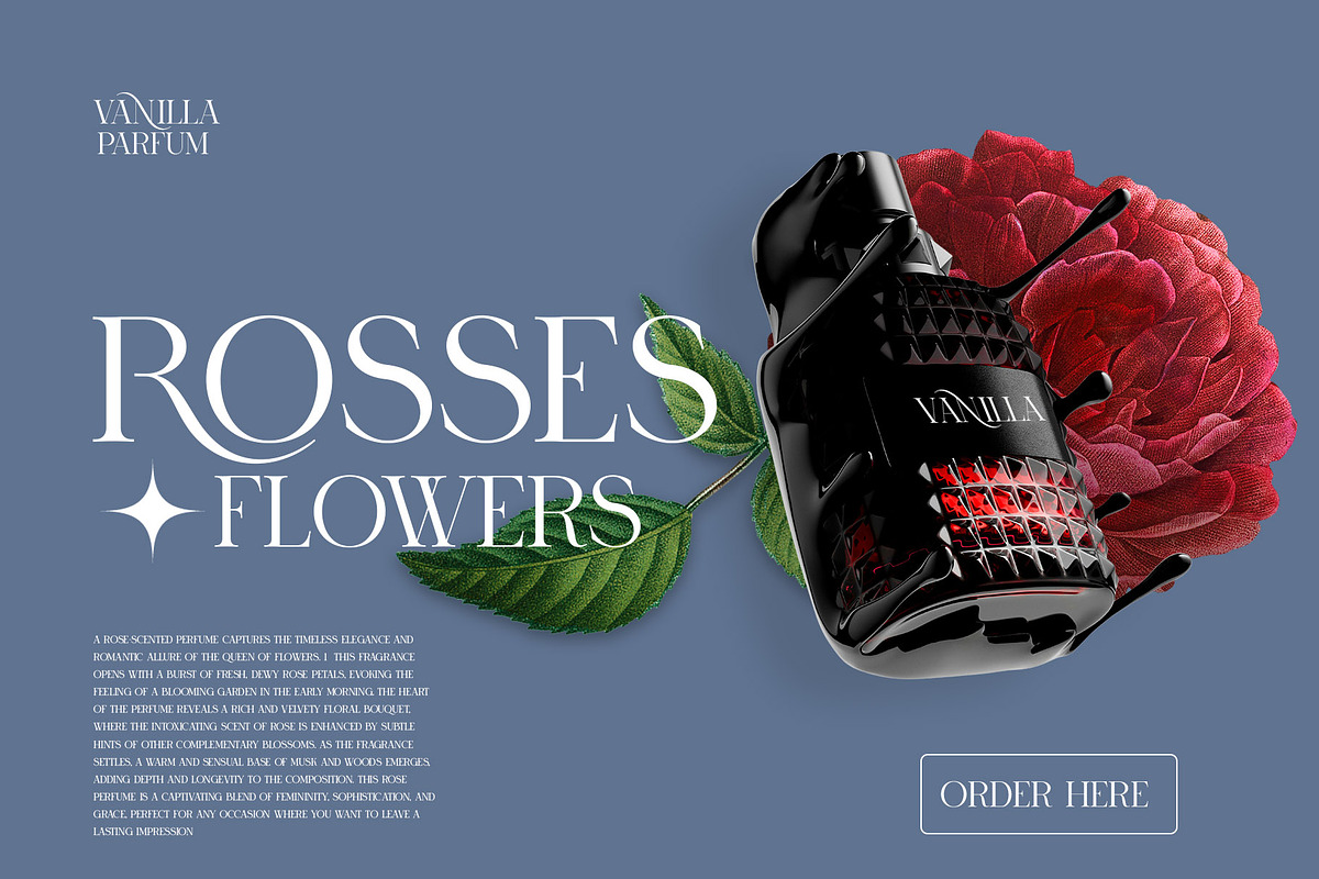 RONICA Modern Display Serif, a Serif Font by Alfinart (Photo 9 of 10)