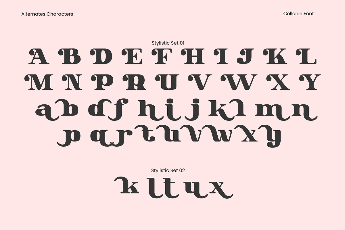 Collonie, a Serif Font by yumnatype (Photo 10 of 10)