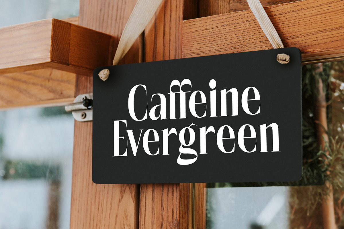 Rigflia Nirsho Modern Serif Font, a Serif Font by timelesstype.co (Photo 13 of 20)