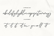 Asteral Classic Font Duo, a Script Font by StudioRhd (Thumbnail 11 of 11)