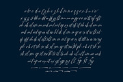 Pamric Mevira Handwritten Ink Font, a Script Font by Letterena Studios Script (Thumbnail 14 of 15)