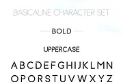 Basicaline Font Family - Sans Serif, a Sans Serif Font by RC graphics (Thumbnail 13 of 21)