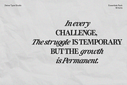 ZT Otez Essentials – 18-Font Serif, a Serif Font by zelow type (Thumbnail 9 of 20)