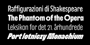 Nerissimo, a Sans Serif Font by Synthview Type Design (Thumbnail 3 of 10)