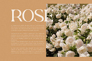 Rowun Elegant Serif Font Typeface, a Serif Font by Perfectype (Thumbnail 6 of 10)