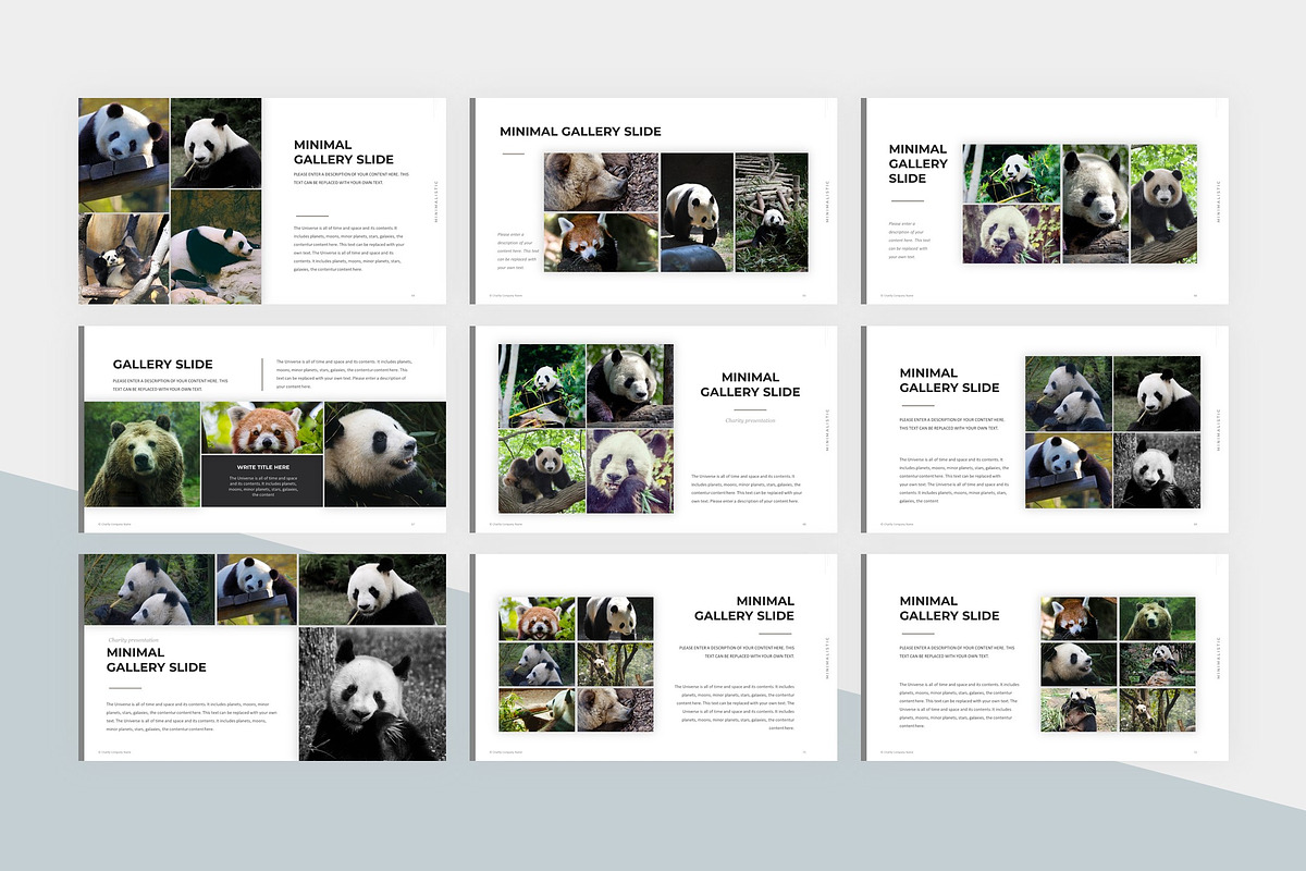 Animal Charity PowerPoint Template, a Presentation Template by litoondev (Photo 7 of 10)