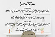 Spectrum, a Script Font by Get Studio (Thumbnail 9 of 9)