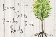 Maple Life Cycle Clip Arts and Print, an Education Illustration by Tati Bordiu (Thumbnail 3 of 4)