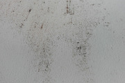 Mold Wall Texture Pack, a Texture Graphic by The_DrX (Thumbnail 2 of 13)