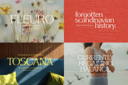 New Look Typeface ( +Variable Fonts), a Sans Serif Font by Nicky Laatz (Thumbnail 33 of 35)