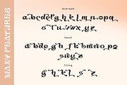 Agaste, a Serif Font by Letterara (Thumbnail 10 of 11)