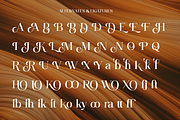Rintik - Modern Elegant Serif, a Serif Font by Shakira Studio (Thumbnail 8 of 10)