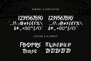 Thriller, a Script Font by Vynetta (Thumbnail 4 of 7)
