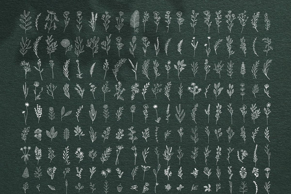 200 Wildflowers Line Art Botanicals, an Illustration by LifestyleCraftCo (Photo 6 of 6)