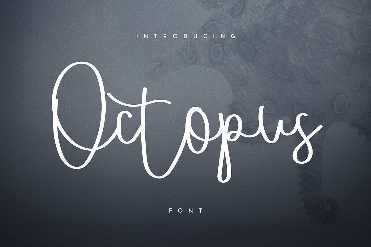 Massive Font Bundle - 197 fonts, a Script Font by VP Fonts (Photo 38 of 55)