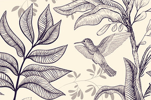 Vector Tropical Pattern