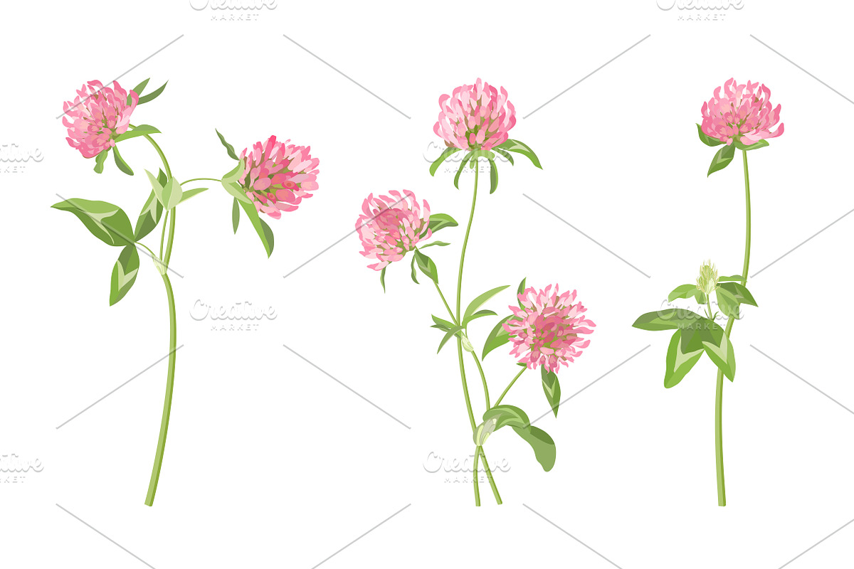Vector object brushes. Clover preview 6