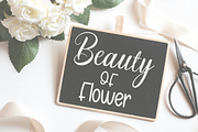 Bonsai, a Script Font by cocodesign (Thumbnail 3 of 8)