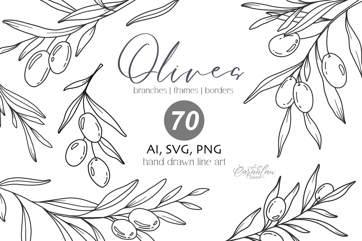 Olives Line Art Clipart, an Object Graphic by CaraulanStore (Photo 1 of 3)