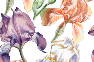 Flowers. Watercolor. Hand Drawn.