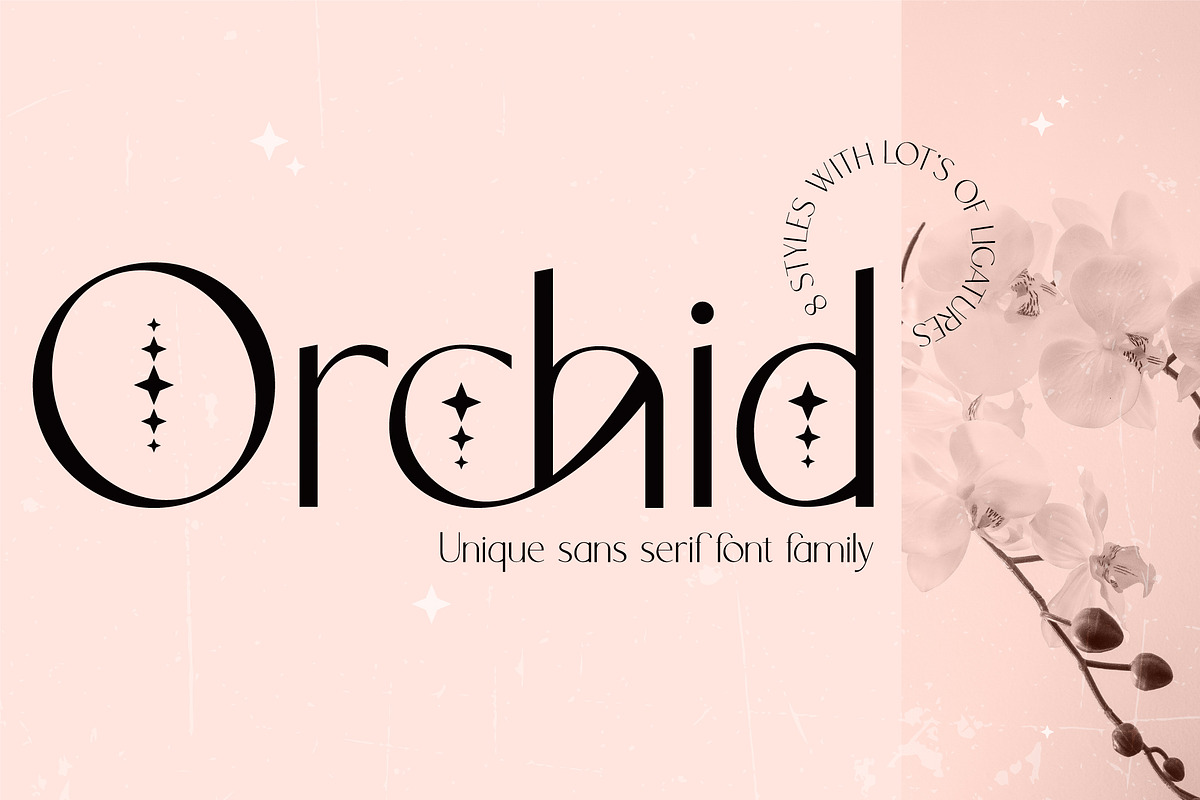 Orchid Sans Serif Font Family, a Sans Serif Font by Anna Zakharchenko (Photo 1 of 12)