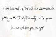 Christmas Butterfly, a Handwritten Font by InermediaSTUDIO (Thumbnail 7 of 8)